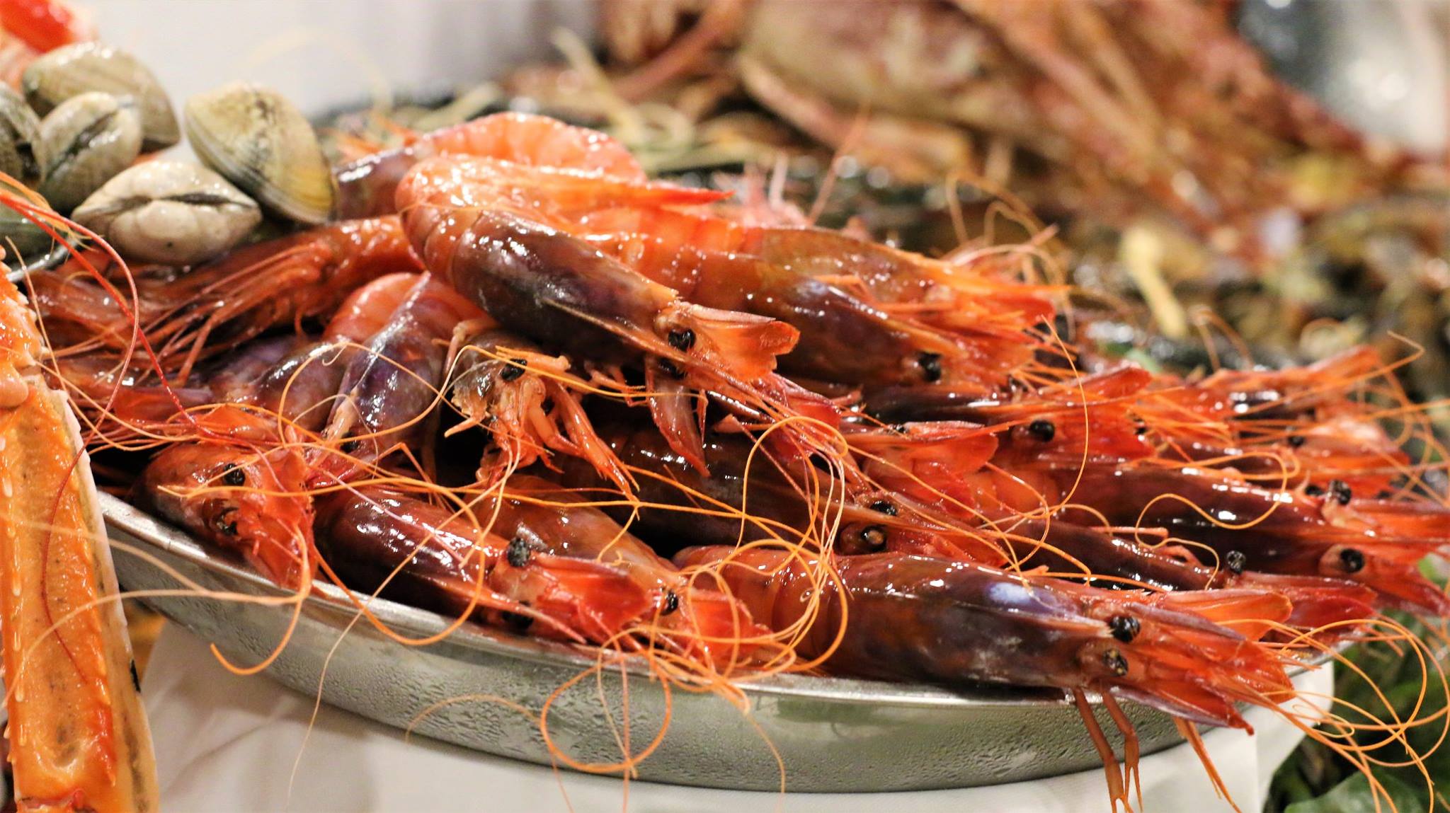 Unglaubliches Restaurant mit frischen Meeresfrüchten neben den Stränden von Barcelona